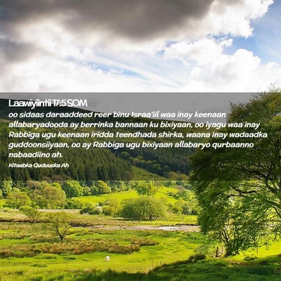 Picture 02 - Laawiyiintii 17:5 SOM - oo sidaas daraaddeed reer binu Israa'iil waa inay - Bible Verse Picture