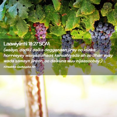Picture 02 - Laawiyiintii 18:27 SOM - (waayo, dadkii dalka degganaan jiray oo idinka - Bible Verse Picture