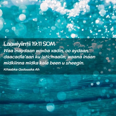 Picture 02 - Laawiyiintii 19:11 SOM - Waa inaydaan waxba xadin, oo aydaan daacadla'aan - Bible Verse Picture