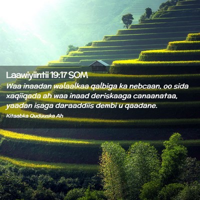Picture 02 - Laawiyiintii 19:17 SOM - Waa inaadan walaalkaa qalbiga ka nebcaan, oo sida - Bible Verse Picture