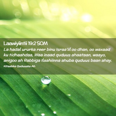 Picture 02 - Laawiyiintii 19:2 SOM - La hadal ururka reer binu Israa'iil oo dhan, oo - Bible Verse Picture