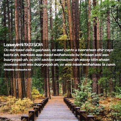 Picture 02 - Laawiyiintii 19:23 SOM - Oo markaad dalka gashaan, oo aad cunto u - Bible Verse Picture
