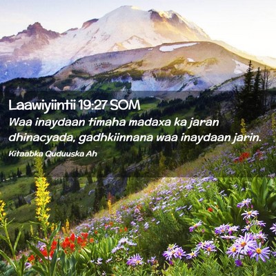 Picture 02 - Laawiyiintii 19:27 SOM - Waa inaydaan timaha madaxa ka jaran dhinacyada, - Bible Verse Picture