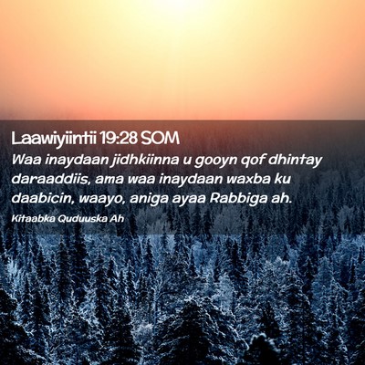 Picture 02 - Laawiyiintii 19:28 SOM - Waa inaydaan jidhkiinna u gooyn qof dhintay - Bible Verse Picture