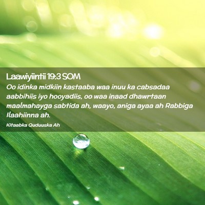 Picture 02 - Laawiyiintii 19:3 SOM - Oo idinka midkiin kastaaba waa inuu ka cabsadaa - Bible Verse Picture