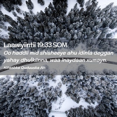 Picture 02 - Laawiyiintii 19:33 SOM - Oo haddii mid shisheeye ahu idinla deggan yahay - Bible Verse Picture