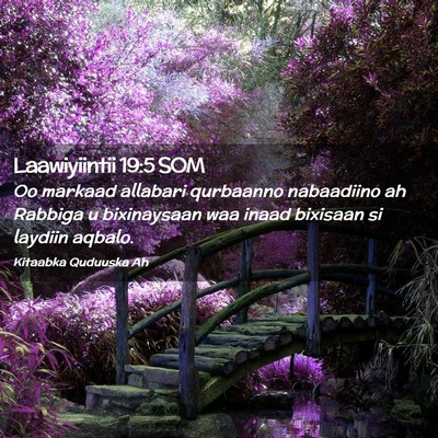 Picture 02 - Laawiyiintii 19:5 SOM - Oo markaad allabari qurbaanno nabaadiino ah - Bible Verse Picture