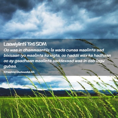Picture 02 - Laawiyiintii 19:6 SOM - Oo waa in dhammaantiis la wada cunaa maalinta aad - Bible Verse Picture