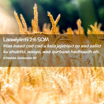 Picture 02 - Laawiyiintii 2:6 SOM - Waa inaad cad cad u kala jejebisid oo aad saliid - Bible Verse Picture