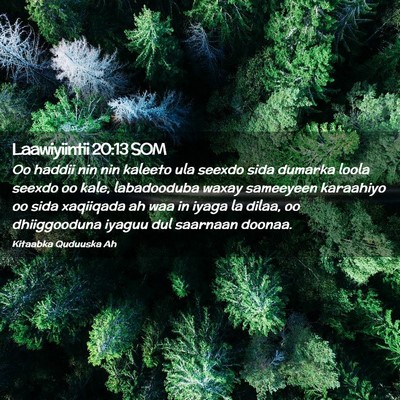 Picture 02 - Laawiyiintii 20:13 SOM - Oo haddii nin nin kaleeto ula seexdo sida dumarka - Bible Verse Picture
