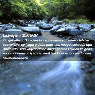Picture 02 - Laawiyiintii 20:6 SOM - Oo qof alla qofkii u jeesta xagga kuwa ruuxaanta - Bible Verse Picture