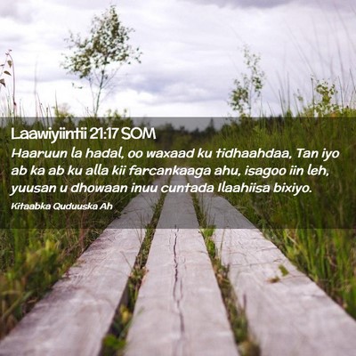 Picture 02 - Laawiyiintii 21:17 SOM - Haaruun la hadal, oo waxaad ku tidhaahdaa, Tan - Bible Verse Picture