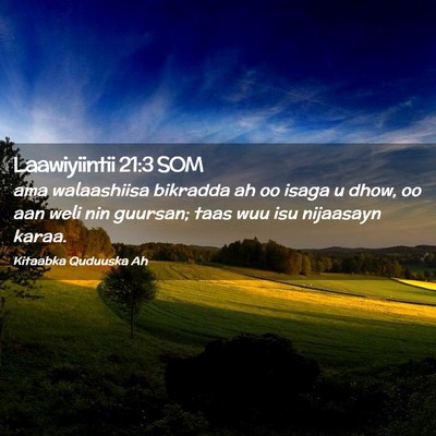 Picture 02 - Laawiyiintii 21:3 SOM - ama walaashiisa bikradda ah oo isaga u dhow, oo - Bible Verse Picture