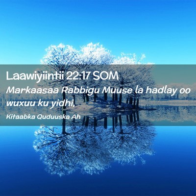 Picture 02 - Laawiyiintii 22:17 SOM - Markaasaa Rabbigu Muuse la hadlay oo wuxuu ku - Bible Verse Picture