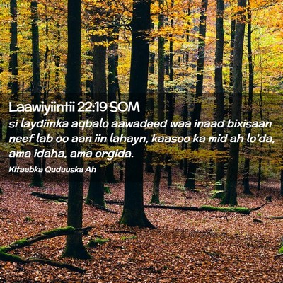 Picture 02 - Laawiyiintii 22:19 SOM - si laydiinka aqbalo aawadeed waa inaad bixisaan - Bible Verse Picture