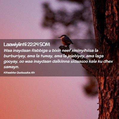 Picture 02 - Laawiyiintii 22:24 SOM - Waa inaydaan Rabbiga u bixin neef xiniinyihiisa - Bible Verse Picture