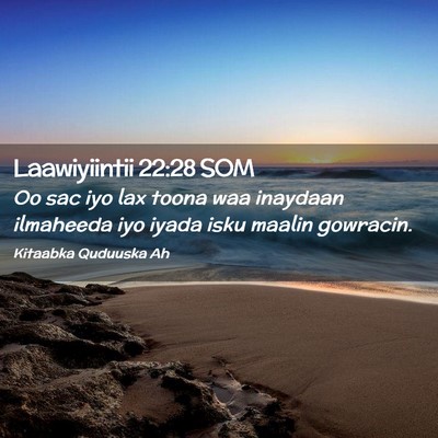 Picture 02 - Laawiyiintii 22:28 SOM - Oo sac iyo lax toona waa inaydaan ilmaheeda iyo - Bible Verse Picture