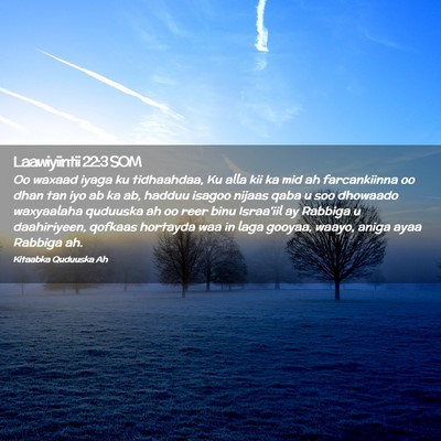 Picture 02 - Laawiyiintii 22:3 SOM - Oo waxaad iyaga ku tidhaahdaa, Ku alla kii ka mid - Bible Verse Picture