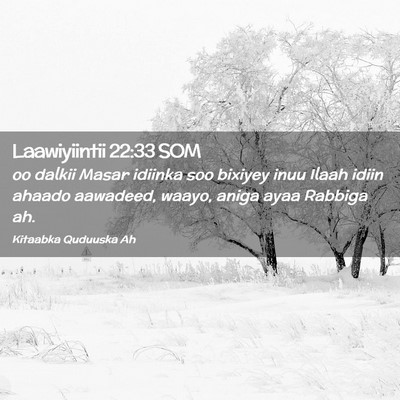 Picture 02 - Laawiyiintii 22:33 SOM - oo dalkii Masar idiinka soo bixiyey inuu Ilaah - Bible Verse Picture