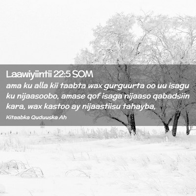 Picture 02 - Laawiyiintii 22:5 SOM - ama ku alla kii taabta wax gurguurta oo uu isagu - Bible Verse Picture