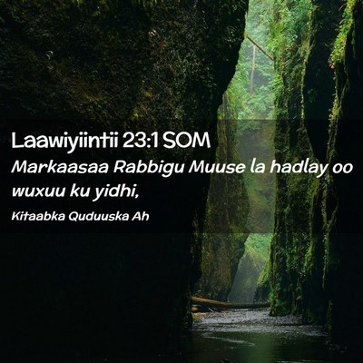 Picture 02 - Laawiyiintii 23:1 SOM - Markaasaa Rabbigu Muuse la hadlay oo wuxuu ku - Bible Verse Picture