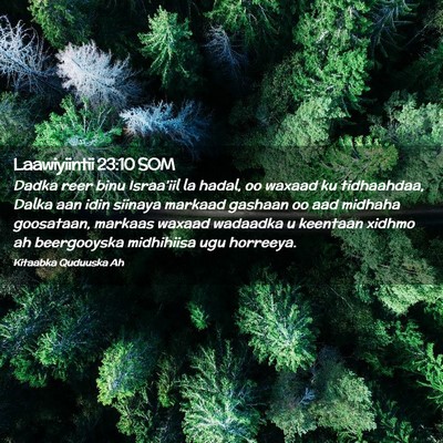 Picture 02 - Laawiyiintii 23:10 SOM - Dadka reer binu Israa'iil la hadal, oo waxaad ku - Bible Verse Picture