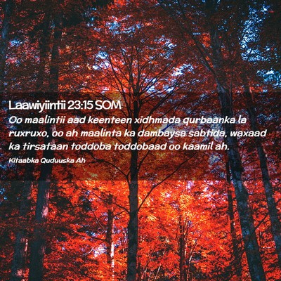 Picture 02 - Laawiyiintii 23:15 SOM - Oo maalintii aad keenteen xidhmada qurbaanka la - Bible Verse Picture