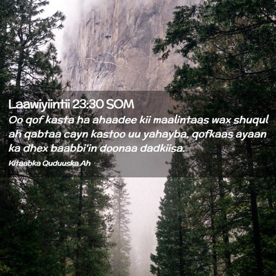 Picture 02 - Laawiyiintii 23:30 SOM - Oo qof kasta ha ahaadee kii maalintaas wax shuqul - Bible Verse Picture