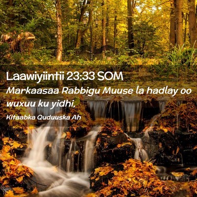 Picture 02 - Laawiyiintii 23:33 SOM - Markaasaa Rabbigu Muuse la hadlay oo wuxuu ku - Bible Verse Picture