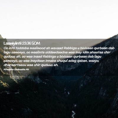 Picture 02 - Laawiyiintii 23:36 SOM - Oo intii toddoba maalmood ah waxaad Rabbiga u - Bible Verse Picture