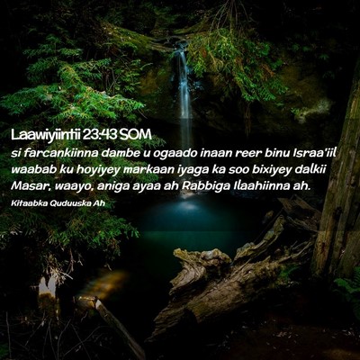 Picture 02 - Laawiyiintii 23:43 SOM - si farcankiinna dambe u ogaado inaan reer binu - Bible Verse Picture