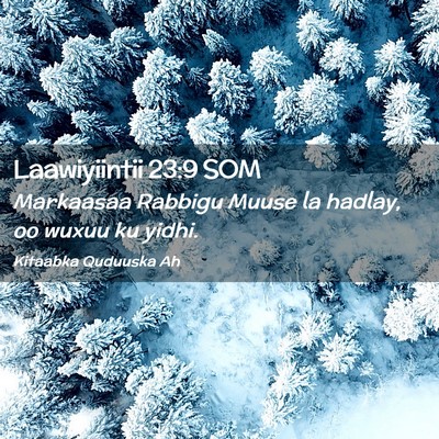 Picture 02 - Laawiyiintii 23:9 SOM - Markaasaa Rabbigu Muuse la hadlay, oo wuxuu ku - Bible Verse Picture
