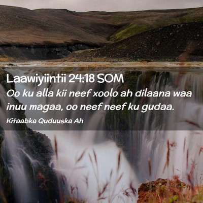Picture 02 - Laawiyiintii 24:18 SOM - Oo ku alla kii neef xoolo ah dilaana waa inuu - Bible Verse Picture