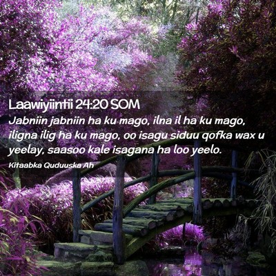 Picture 02 - Laawiyiintii 24:20 SOM - Jabniin jabniin ha ku mago, ilna il ha ku mago, - Bible Verse Picture