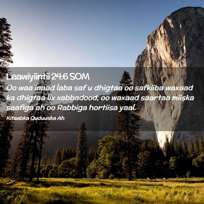 Picture 02 - Laawiyiintii 24:6 SOM - Oo waa inaad laba saf u dhigtaa oo safkiiba - Bible Verse Picture