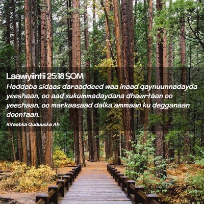 Picture 02 - Laawiyiintii 25:18 SOM - Haddaba sidaas daraaddeed waa inaad - Bible Verse Picture