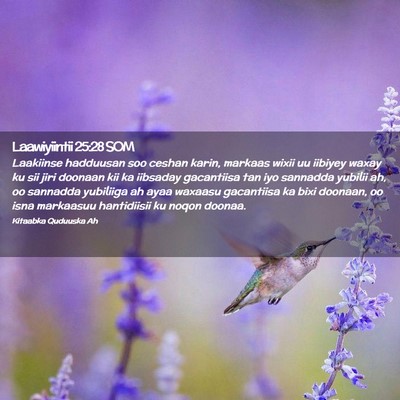Picture 02 - Laawiyiintii 25:28 SOM - Laakiinse hadduusan soo ceshan karin, markaas - Bible Verse Picture