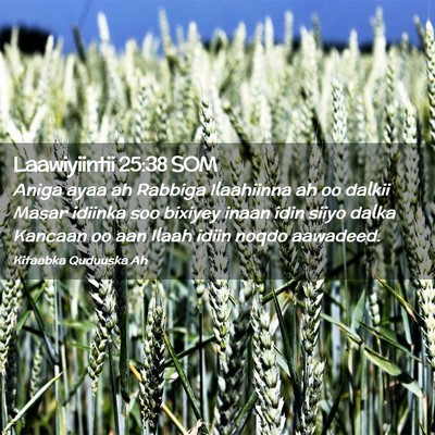 Picture 02 - Laawiyiintii 25:38 SOM - Aniga ayaa ah Rabbiga Ilaahiinna ah oo dalkii - Bible Verse Picture