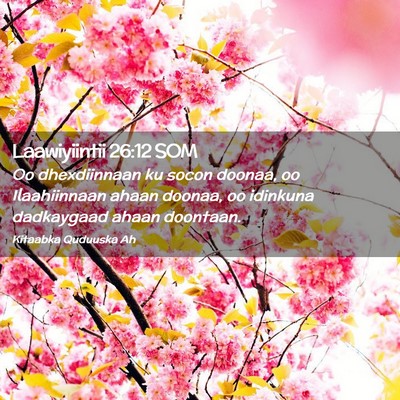 Picture 02 - Laawiyiintii 26:12 SOM - Oo dhexdiinnaan ku socon doonaa, oo Ilaahiinnaan - Bible Verse Picture