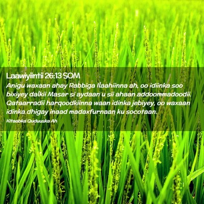 Picture 02 - Laawiyiintii 26:13 SOM - Anigu waxaan ahay Rabbiga Ilaahiinna ah, oo - Bible Verse Picture