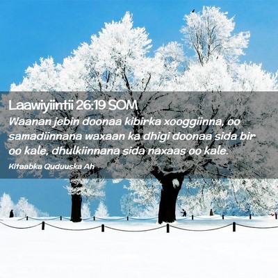 Picture 02 - Laawiyiintii 26:19 SOM - Waanan jebin doonaa kibirka xooggiinna, oo - Bible Verse Picture