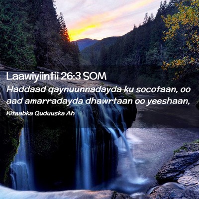 Picture 02 - Laawiyiintii 26:3 SOM - Haddaad qaynuunnadayda ku socotaan, oo aad - Bible Verse Picture