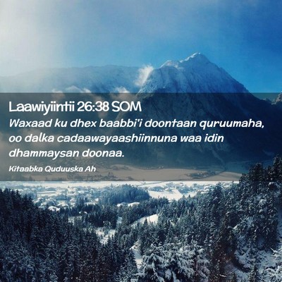 Picture 02 - Laawiyiintii 26:38 SOM - Waxaad ku dhex baabbi'i doontaan quruumaha, oo - Bible Verse Picture