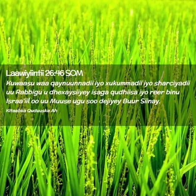 Picture 02 - Laawiyiintii 26:46 SOM - Kuwaasu waa qaynuunnadii iyo xukummadii iyo - Bible Verse Picture