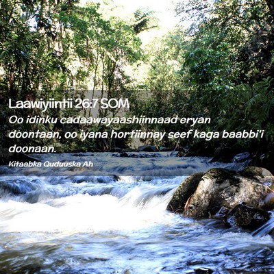 Picture 02 - Laawiyiintii 26:7 SOM - Oo idinku cadaawayaashiinnaad eryan doontaan, oo - Bible Verse Picture