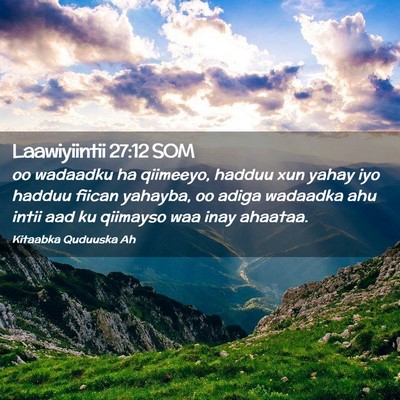 Picture 02 - Laawiyiintii 27:12 SOM - oo wadaadku ha qiimeeyo, hadduu xun yahay iyo - Bible Verse Picture