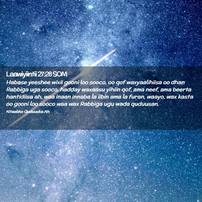 Picture 02 - Laawiyiintii 27:28 SOM - Habase yeeshee wixii gooni loo sooco, oo qof - Bible Verse Picture