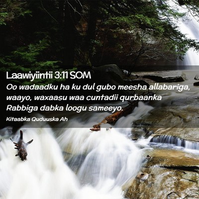 Picture 02 - Laawiyiintii 3:11 SOM - Oo wadaadku ha ku dul gubo meesha allabariga, - Bible Verse Picture