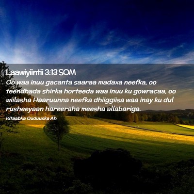 Picture 02 - Laawiyiintii 3:13 SOM - Oo waa inuu gacanta saaraa madaxa neefka, oo - Bible Verse Picture
