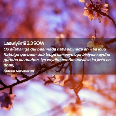 Picture 02 - Laawiyiintii 3:3 SOM - Oo allabariga qurbaannada nabaadiinada ah waa - Bible Verse Picture
